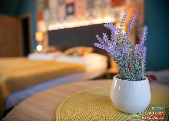 Hotel Benica